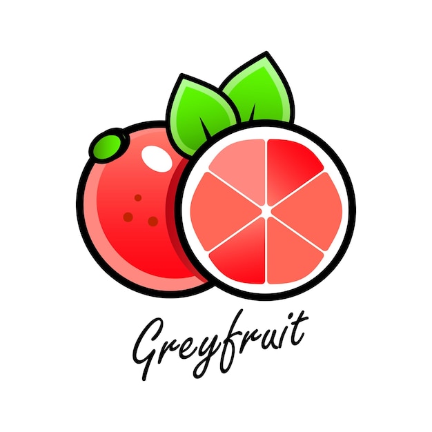 Whole and sliced grapefruit Vector set in cartoon style isolated