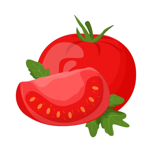 Whole tomato isolated on white background Flat vector illustration