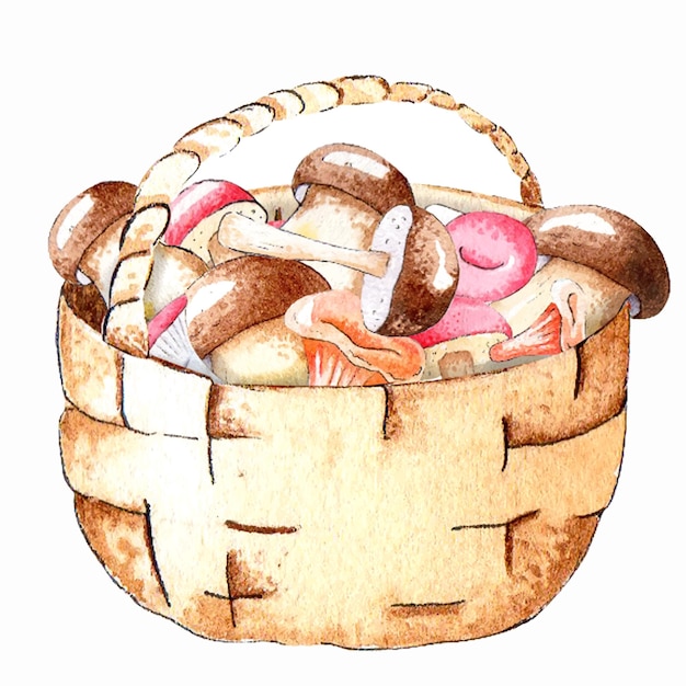 Wicker basket with mushrooms Watercolor illustration