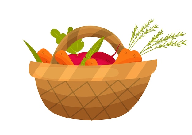 Wicker basket with vegetables beet and carrot Autumn harvest and vegetable garden Vector flat illustration