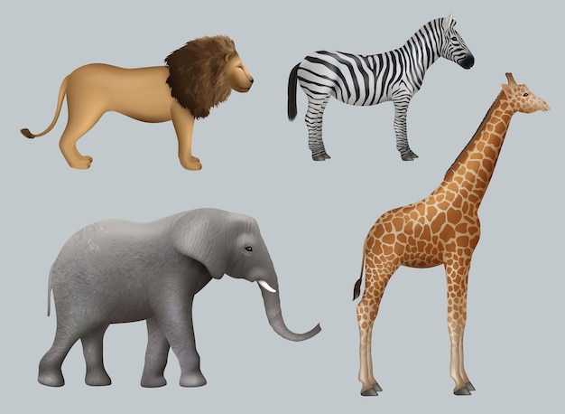 Wild african animals Lion elephant zebra giraffe safari travelling outdoor collection decent vector realistic animals