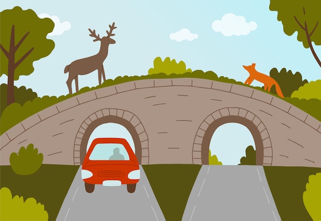 Wild animals cross the road on the eco bridge. Bridge over a highway. Ecoduct.