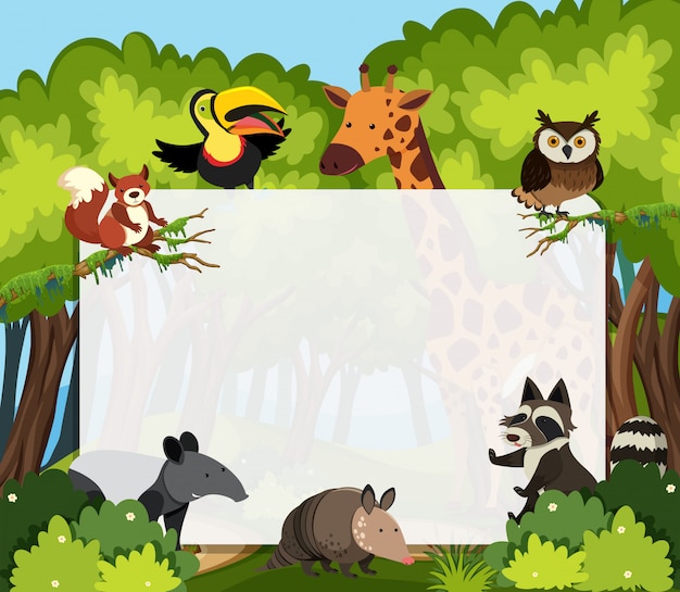 A wild animals template