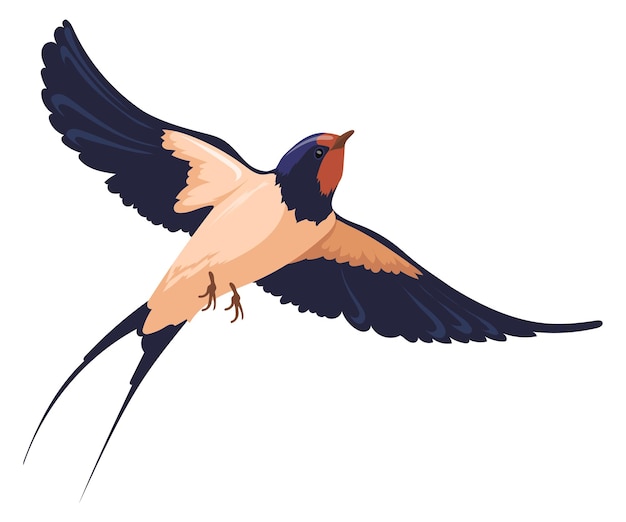 Wild bird flying Swallow with wide wings