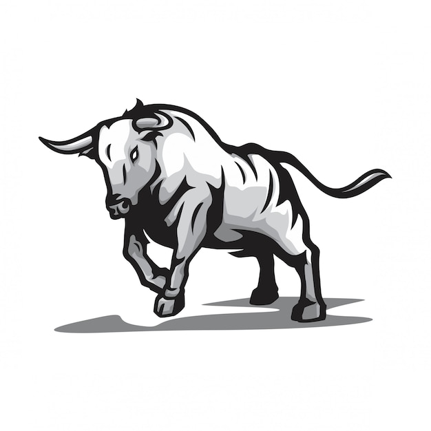 wild bull vector