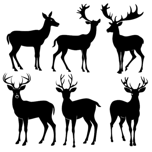 Vector wild deer group male female roe deers black silhouette vector