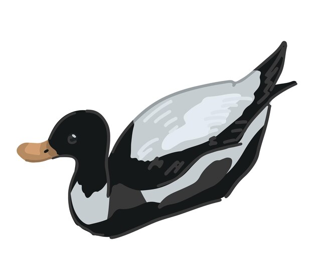 Vector wild duck bird clipart single doodle of waterfowl animal isolated on white colored vector illustration in cartoon style