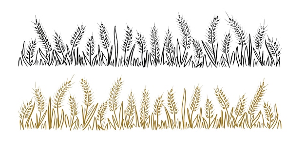 Wild ears of wheat andherb, grass.Cereal corn hand made.Vector illustration.Brown and black lines