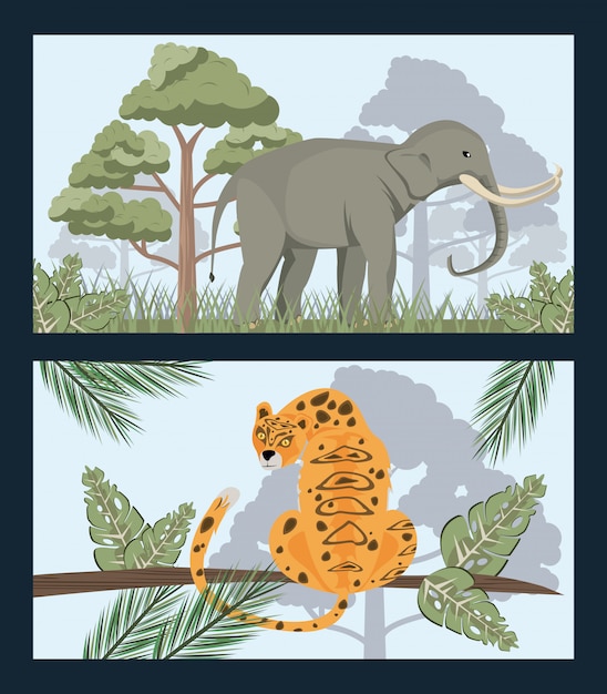 Wild elephant and leopard in the jungle wild nature scene