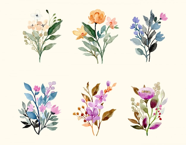 wild floral watercolor bouquet decoration collection