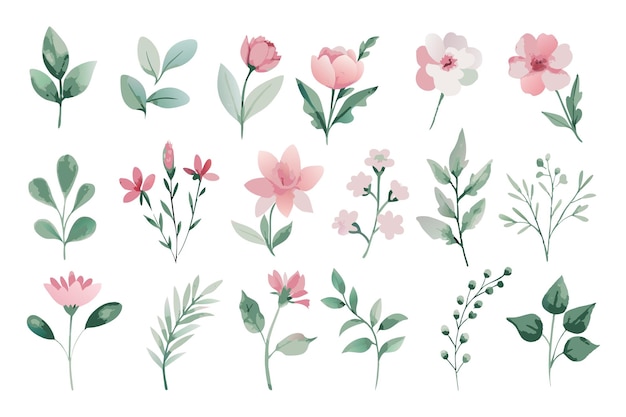 Wild floral watercolor element collection