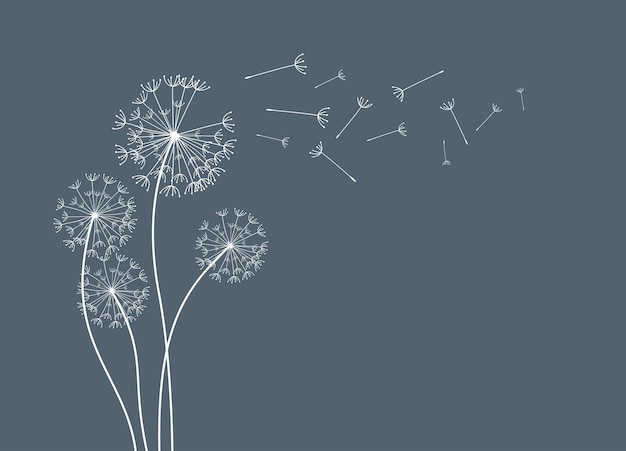 Vector wild flower dandelion in a vector style isolated vector flower for background texture wrapper pat