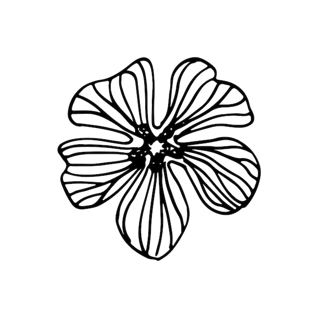 Wild flowers dooddle lineart vector illustration hand drawing