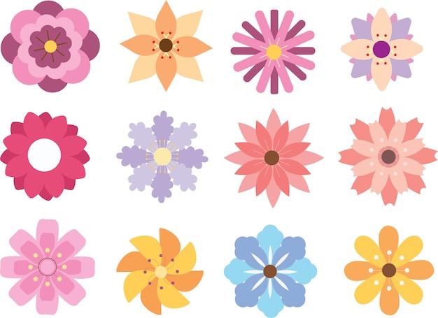 Wild flowers plants botanical collection Premium Vector