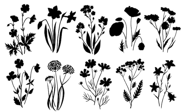 Wild flowers plants monkshood thistle poppy botanic collection vector Silhouettes