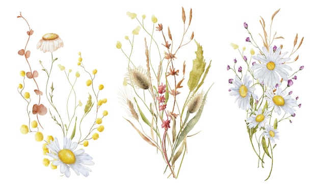 Wild flowers watercolor bouquet botanical hand drawn illustration