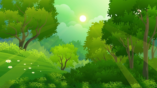 Wild forest with lush grass and trees tropical forest vector illustration