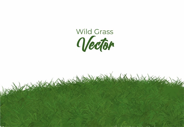 Wild grass vector hand drawn template design