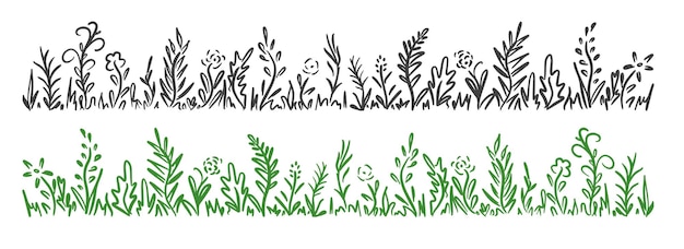 Wild herb, flowers and grass hand drawn in doodle style.Vector illustration.Hand made.