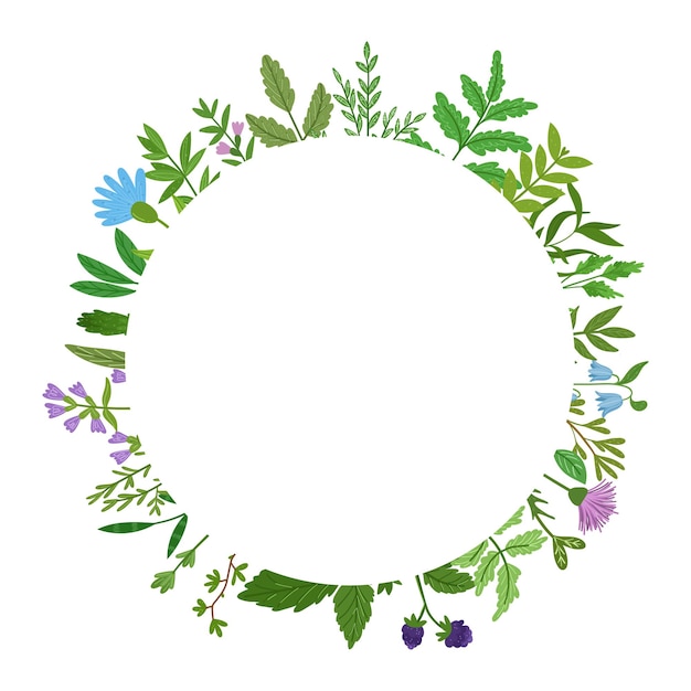 Wild herbs wreath. Cartoon leaves,brunches,flowers,twig isolated  .   hand drawn illustration.