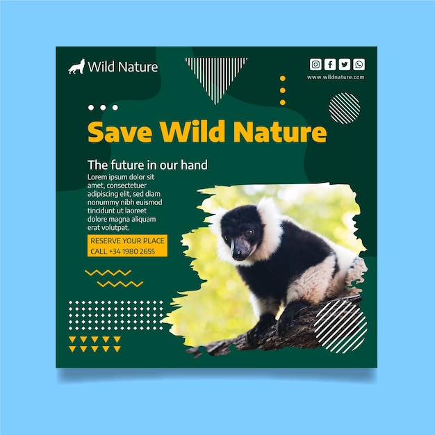 Wild nature flyer template with photo