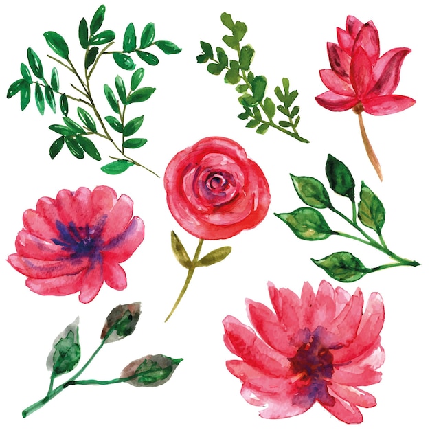 Wild pink flower with leaves watercolor set for decorations