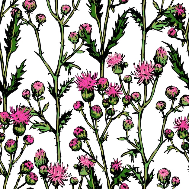 Wild plants thistle ornament Floral ornament of retro style drawing Hand drawn vector seamless pattern Abstract botanical design for background decor