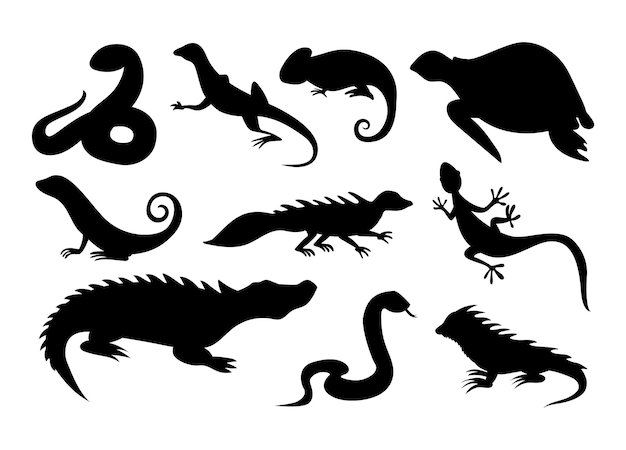 Wild reptile silhouette Tropical reptiles turtle chameleon and tortoise Lizard and crocodile or alligator snake and iguana amphibians black icons Vector isolated collection