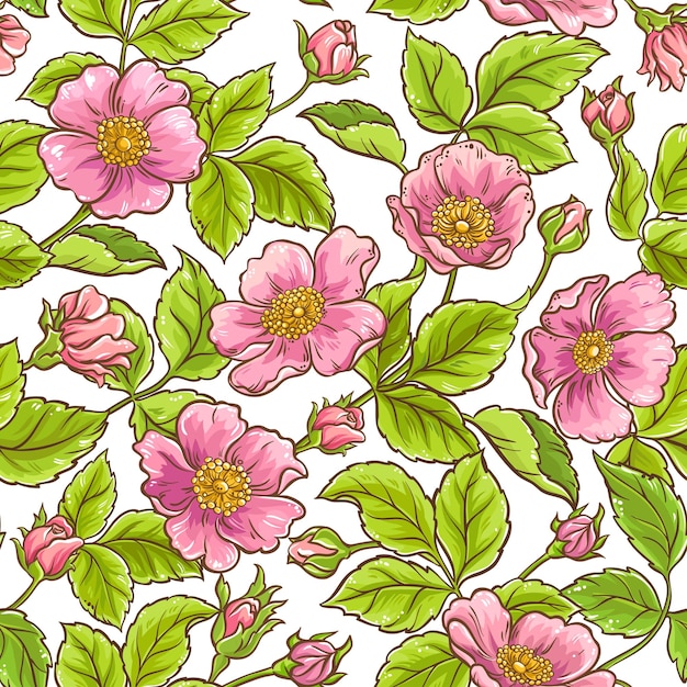 Wild rose vector pattern