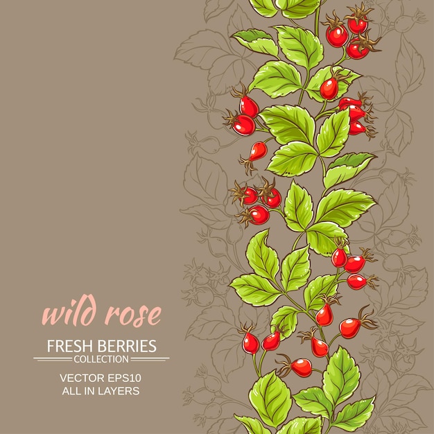 Wild rose vector pattern