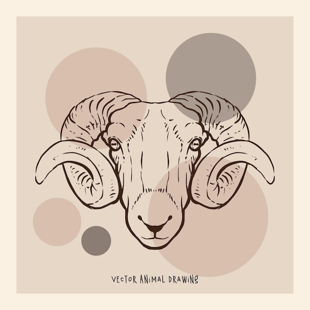 Wild Sheep Animal Portrait Vector Art Drawing Pastel Abstract Background