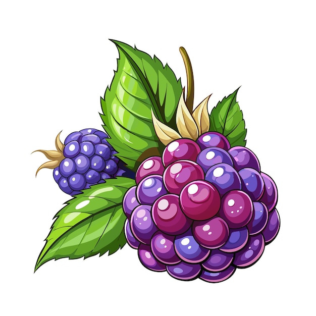 Wildberry fruit summer cartoon style on white background