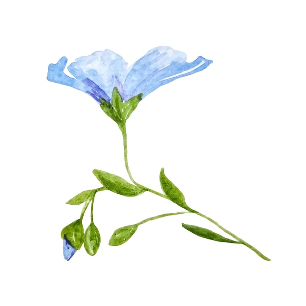 Wildflower blue linen watercolor clipart isolated