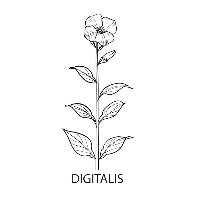 wildflower Clipart Flower Line Art Vector Illustration in black and white