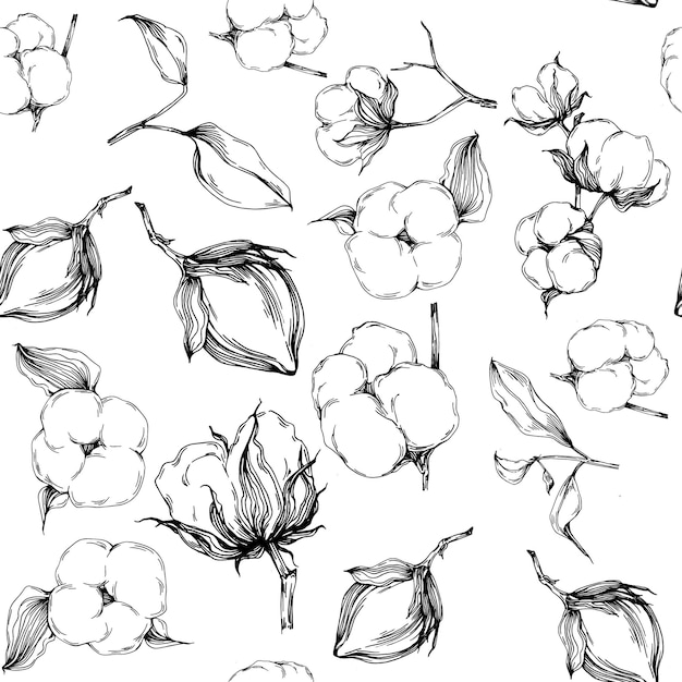 Wildflower cotton flower pattern in a one line style. Outline of the plant Black and white