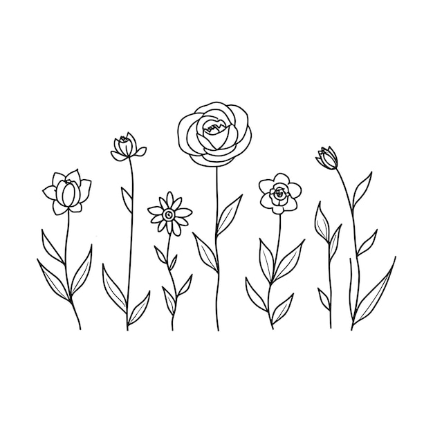 Vector wildflower minimalist flower bouquet outline black and white isolated on white background