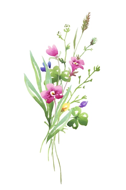 Wildflowers bouquet Watercolor Vector