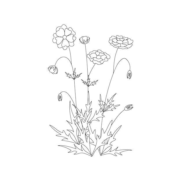 Wildflowers drawn with a line on a white background Vector flowers Coloring