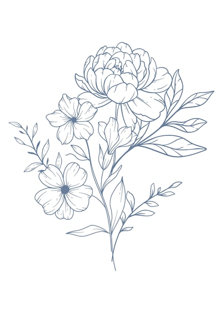 Vector wildflowers line drawing flower coloring page floral line art