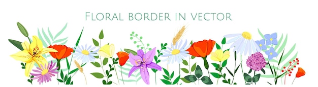 Wildflowers vector illustration Bright floral border