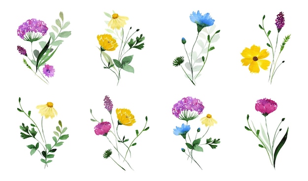 Wildflowers Watercolor floral bouquet Collection of wildflower bouquets