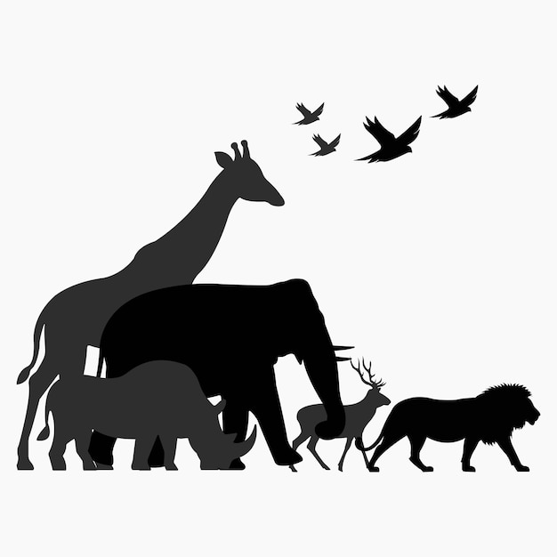 Wildlife family safari silhouette Savanna grassland ecology Environment and wildlife conservation