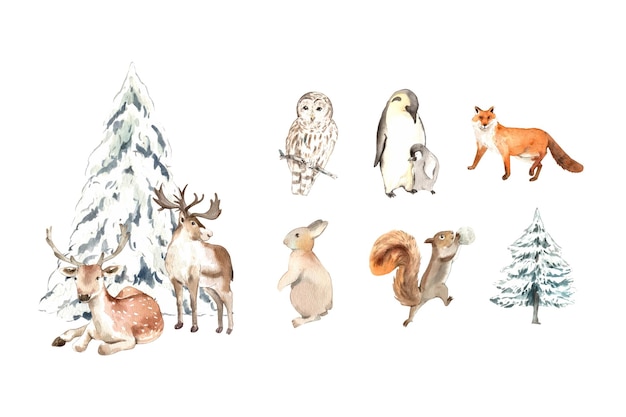 Wildlife village in winter watercolor decoration vector