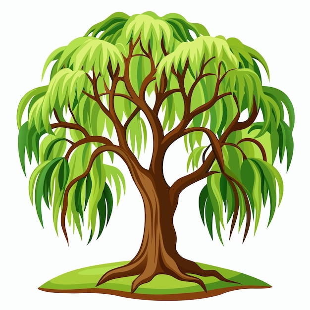 Vector willow tree clipart vector art and illustration