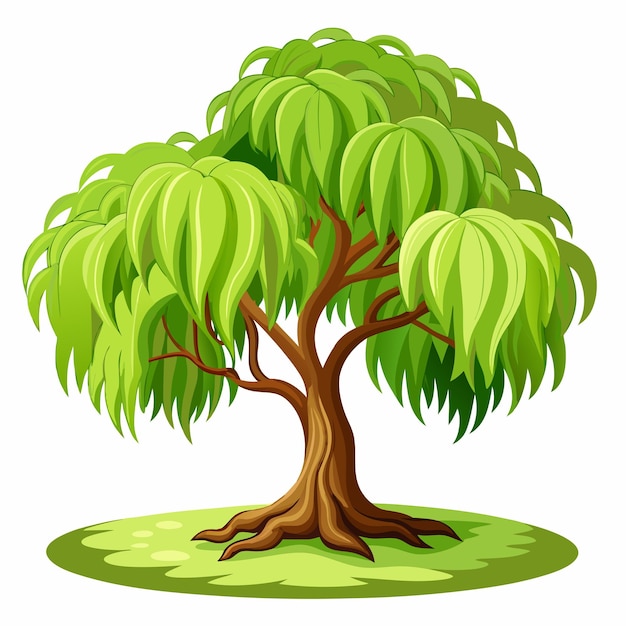 willow tree clipart vector art and illustration