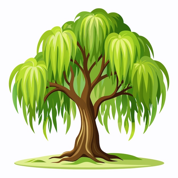 Vector willow tree clipart vector art and illustration