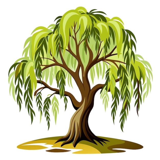 willow tree clipart vector art and illustration