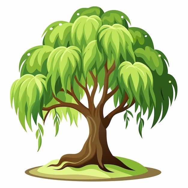 Vector willow tree clipart vector art and illustration