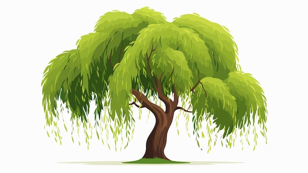 Vector willow tree isolated vector illustration cartoon style