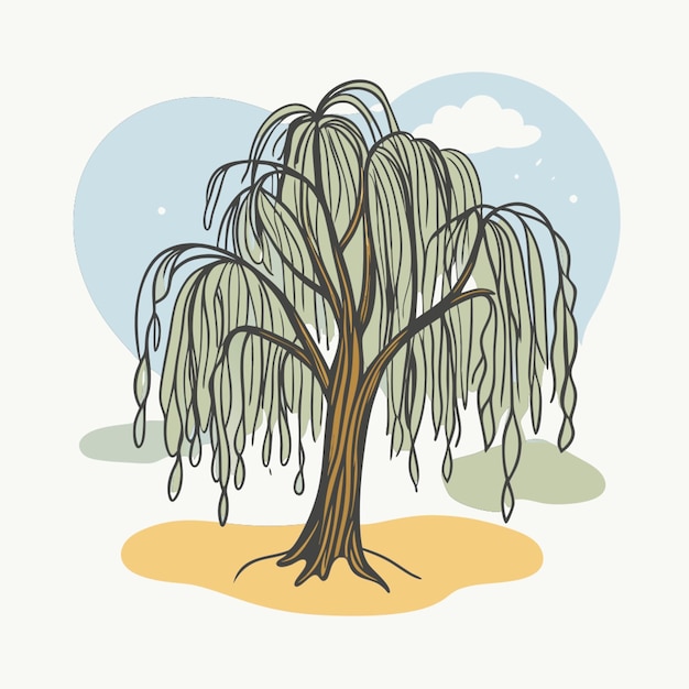 Vector willow tree vector illustration line circuit